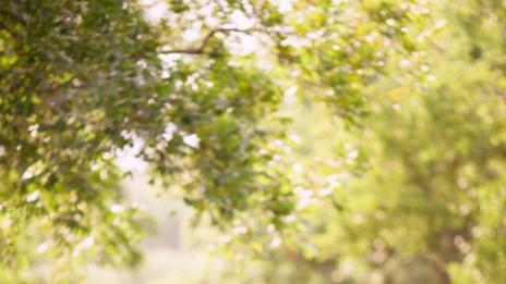 Защо си струва да се срещате с приятел