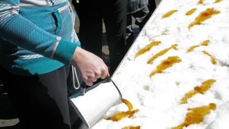 Слаби и здрави с кленов сироп