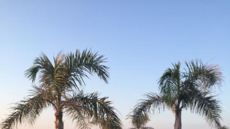 Рита Ора и Люис Хамилтън са гаджета