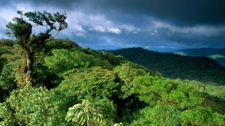 Какво не знаете за Коста Рика