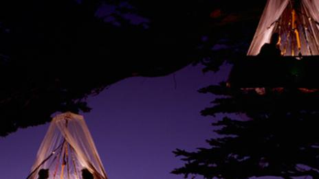 Туристическо откритие на деня: къмпинг на дървото