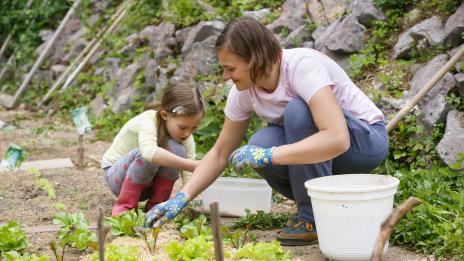 Как да възпитате трудолюбие у детето си