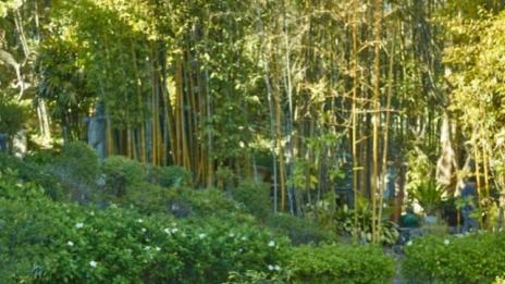 Зашеметяващи кътове за четене на открито