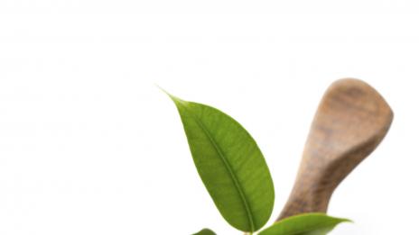 Скраб за крака със сол и мента