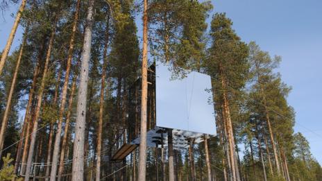 Хотели върху дървета