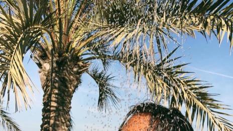 Вече видяно: Николета с плажна еротика