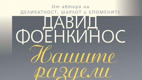 „Нашите раздели“ описва Давид Фоенкинос