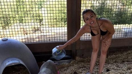 Чар или бедствие: Майли – свиневъд по бански