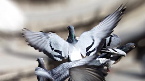 Ясен Савов с изложба на фотоси от Instagram