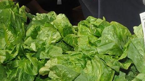 Ново 20: Глобалното затопляне заради вегетарианците