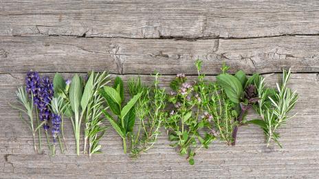 Билките, подходящи за всяка зодия (2 част)