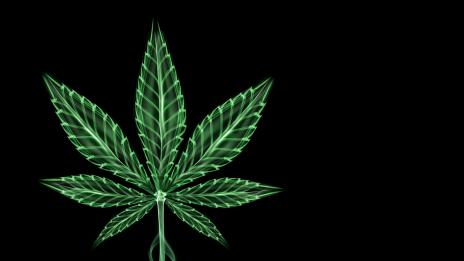 Редовното пушене на марихуана контролира кръвната захар