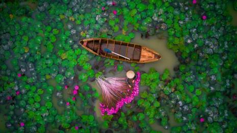 Високо в небесата: Най-добрите снимки от дрон за 2017