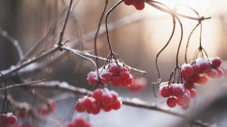 Хороскопът ви за 4 декември
