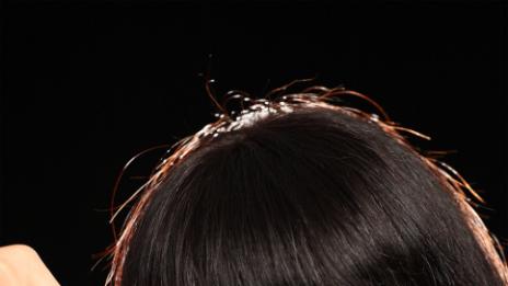 4 въпроса, които да си зададете преди да направите бретон