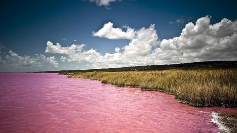 Езерото Ретба изглежда вкусно, но не става за пиене