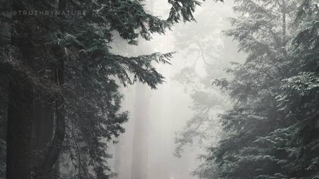 Когато човекът и природата се срещнат