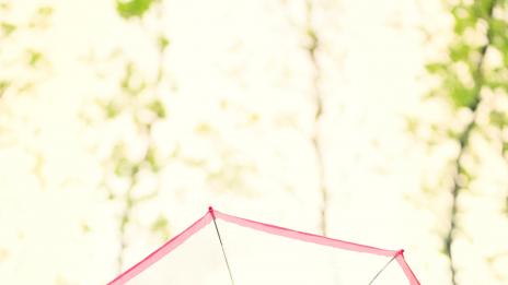 Какво ще направи дамите щастливи