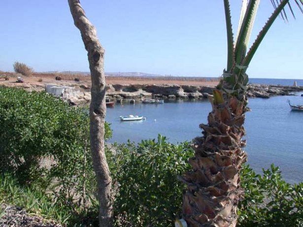 Снимка: cypruspictures.net