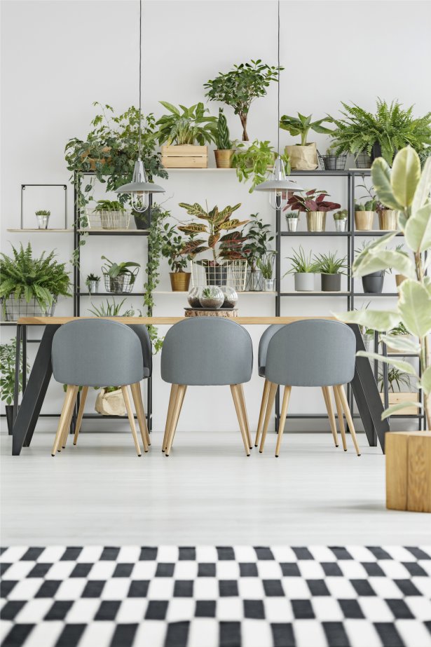 IStockphoto