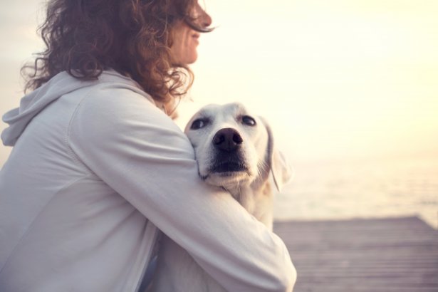 Снимка: istockphoto.com