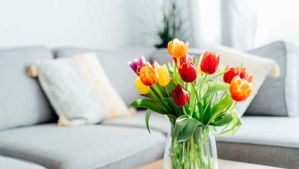 Снимка: IStock