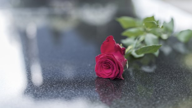 IStockphoto
