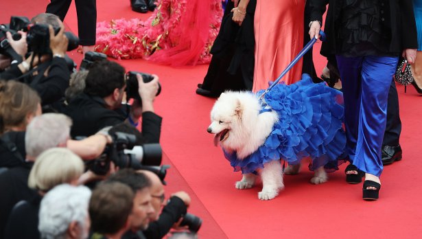 Снимка: Getty Images