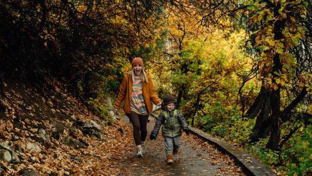 Снимка: Todd Willett, Pexels