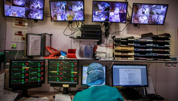 Снимка: БГНЕС