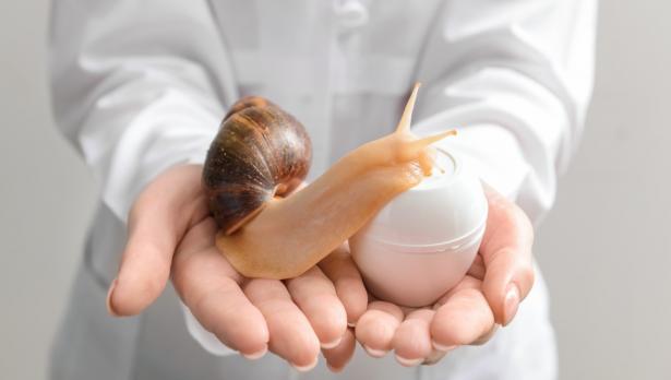 Снимка: iStock