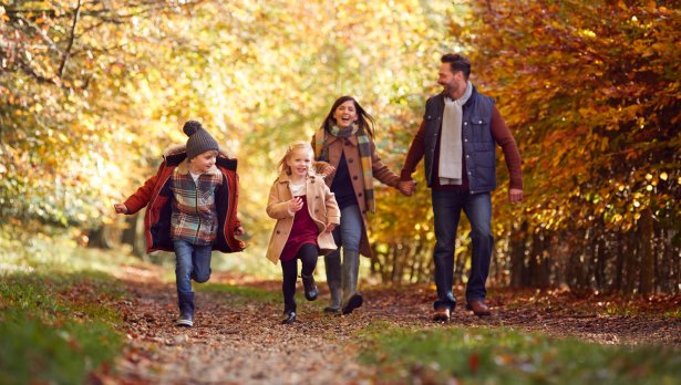 Снимка: iStock