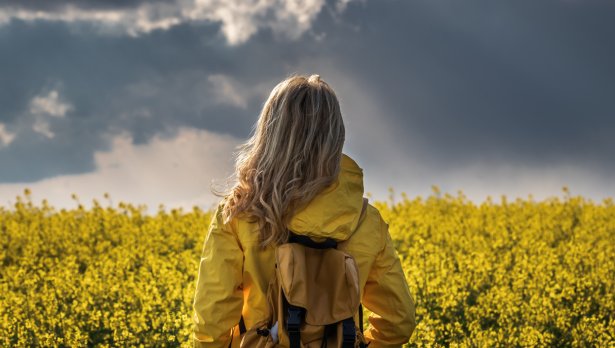 Снимка: Istock