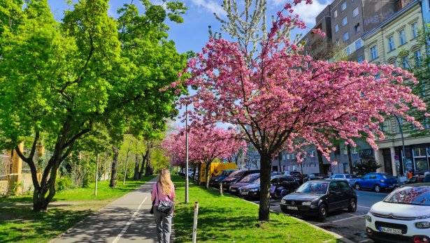 Снимка: Istock