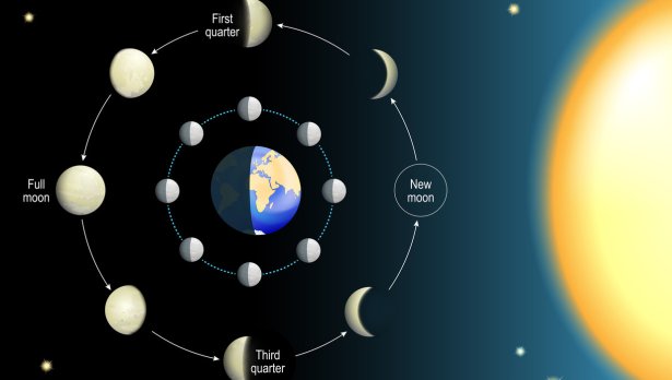 Снимка: iStock