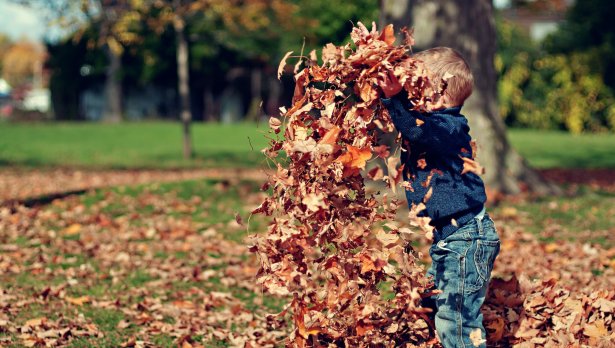 Снимка: Scott Webb, Pexels