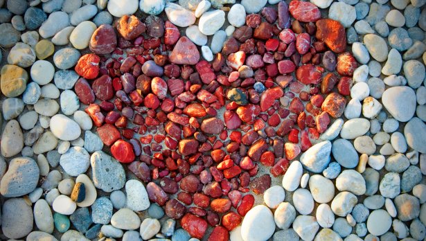 Istockphoto