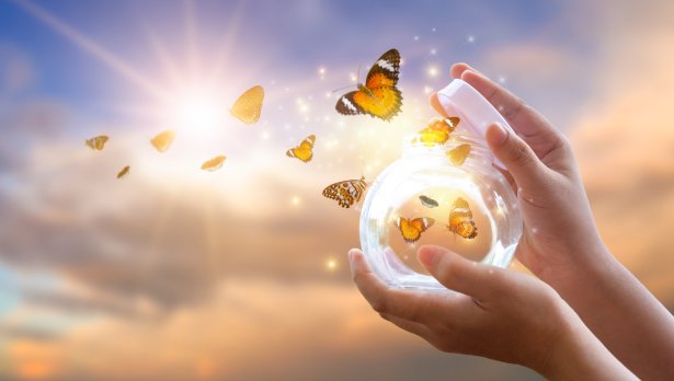 Снимка: Istock