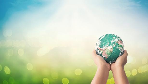 Снимка: iStock