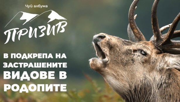 &bdquo;Гласът&ldquo; на Родопите: Животните не могат да говорят, изчезват тихомълком