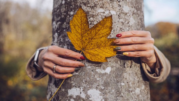 Снимка: iStock