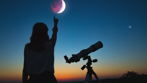 Снимка: Istock
