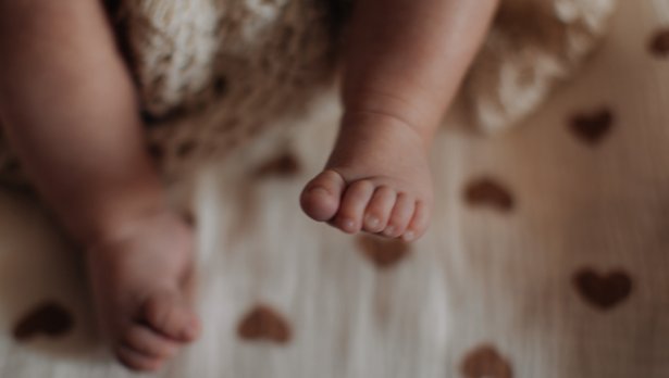 Снимка: Istock