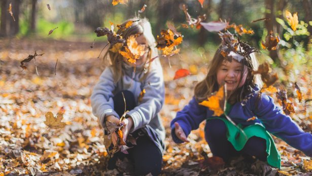 Снимка: Michael Morse, Pexels