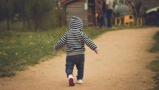 Снимка: Pixabay