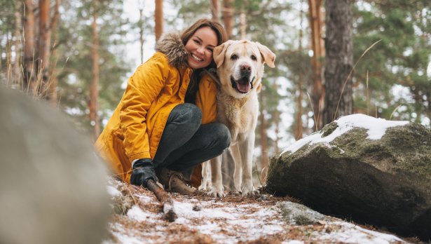 Снимка: iStock