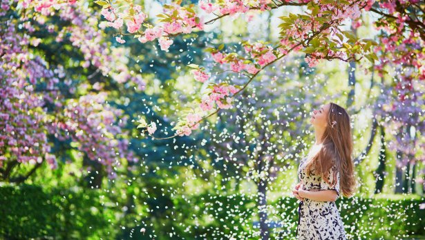 IStockphoto