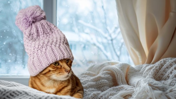 Снимка: IStock