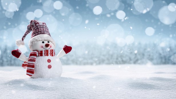 Снимка: iStock