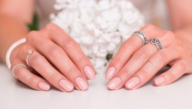 Снимка: IStock